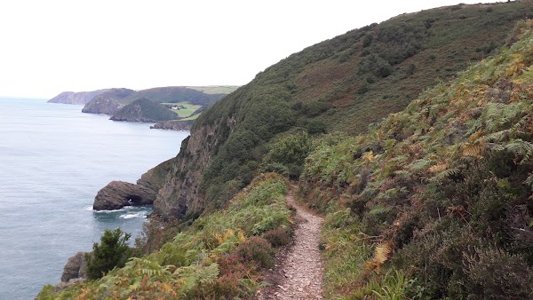 Woody Bay, Devon 5