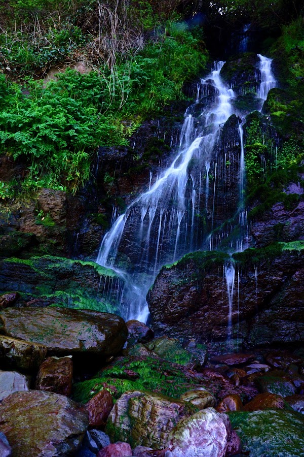 Woody Bay, Devon 2