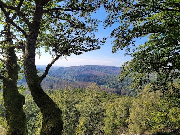 Hunsrück-Hochwald National Park
