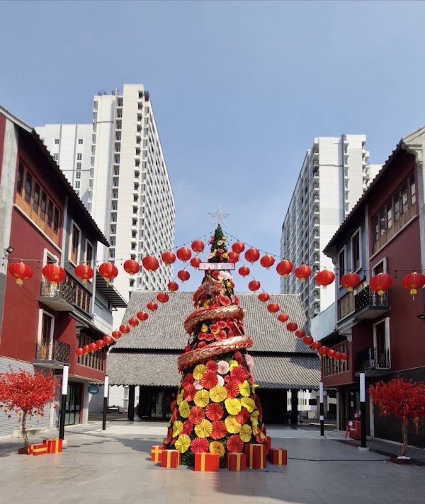Dragon town