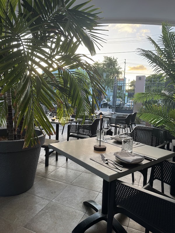 Curaçao 🪼 26