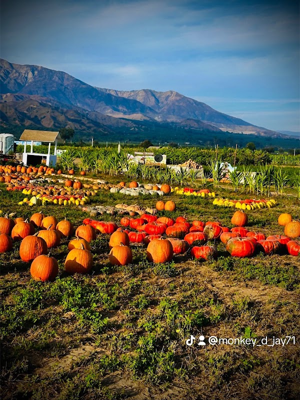 Prancer’s Farm 3
