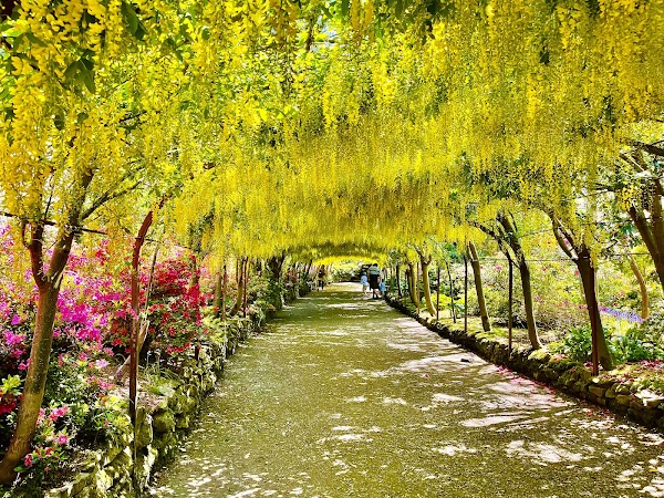 National Trust - Bodnant Garden 4