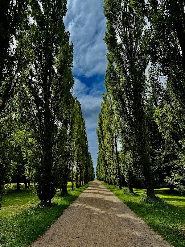 Valbyparken 5