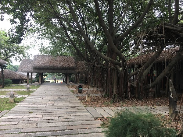四海马术 1