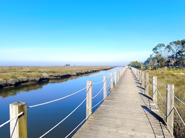 Passadiços de Aveiro (início) 1
