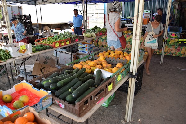 Yandina Markets - Saturday 5