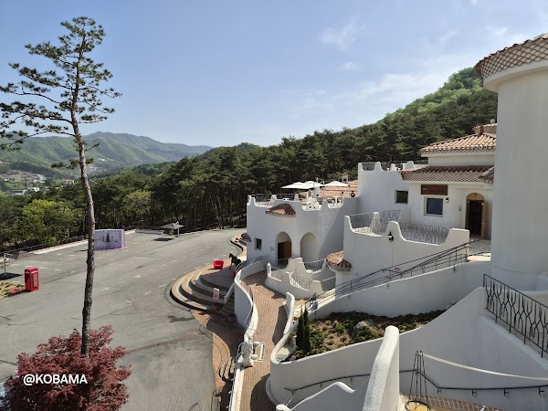 더마구 5