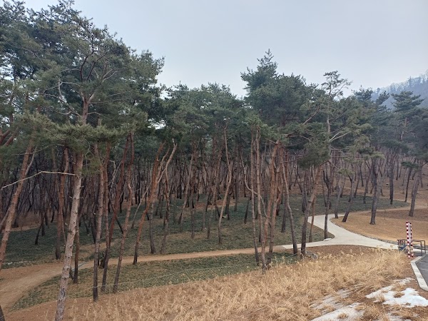 더마구 4