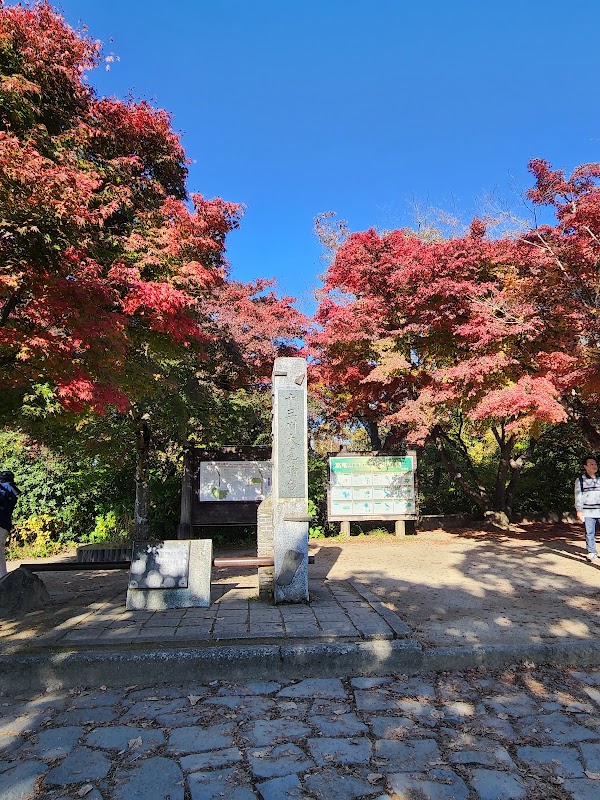 Ōmiharashidai Viewpoint (Mt. Takao) 4