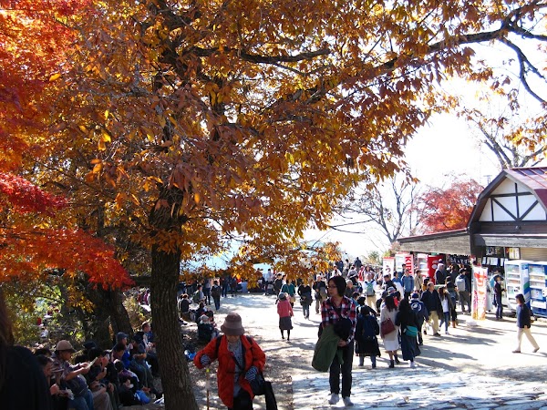 Ōmiharashidai Viewpoint (Mt. Takao) 2