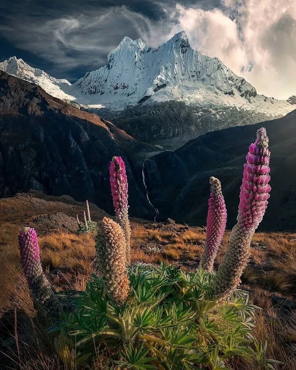 Huayhuash 5