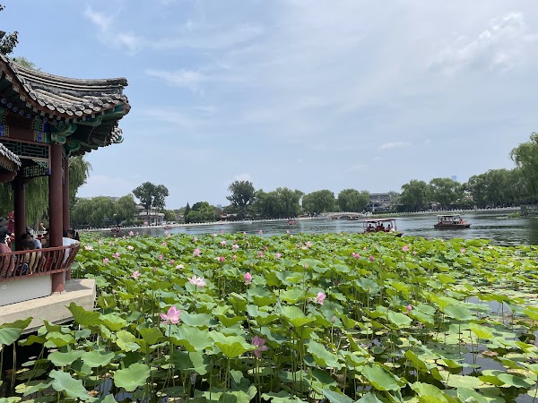 什刹海公园 4
