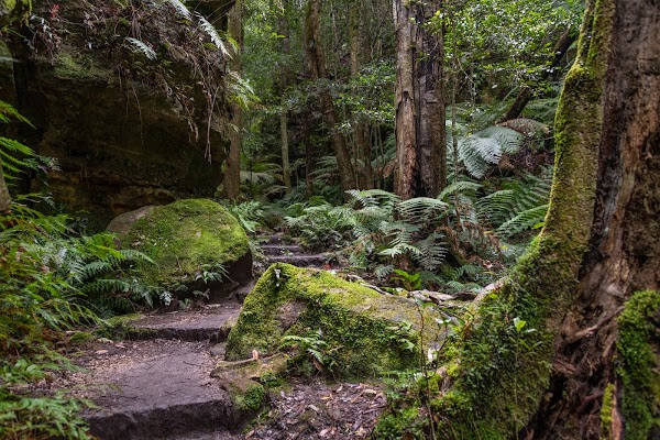 Grand Canyon Walking Track