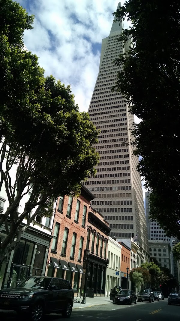 Jackson Square 5