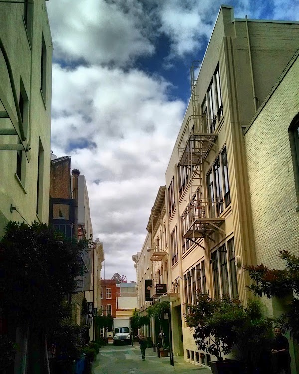 Jackson Square 4