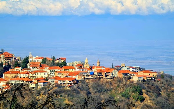 Sighnaghi 4
