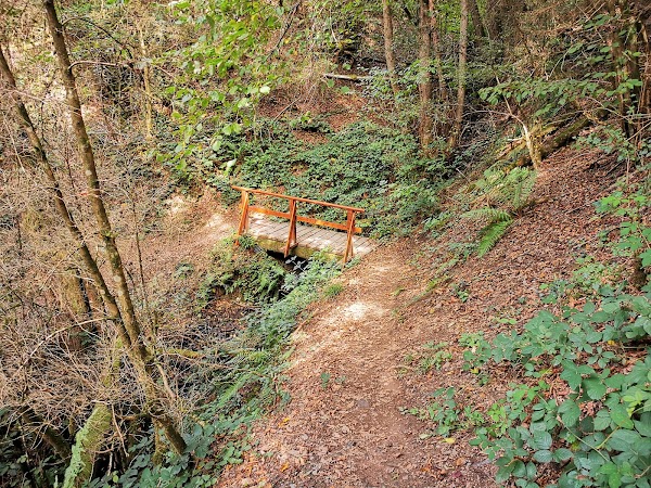 Kompuskopf - Buchsbaum-Wanderpfad 3