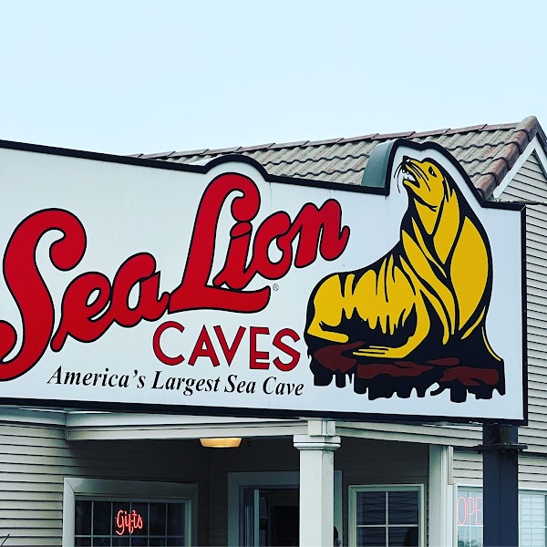 Sea Lion Caves 3