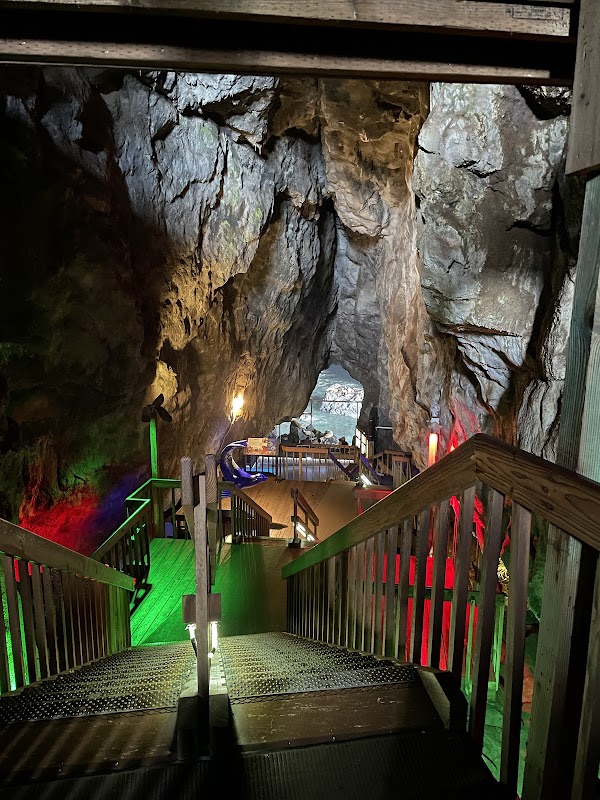 Sea Lion Caves 2