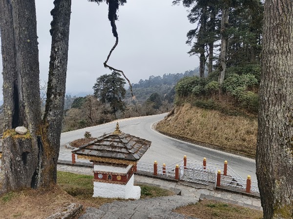 Dochula Pass 2