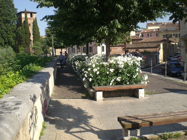 Rigaste San Zeno 2