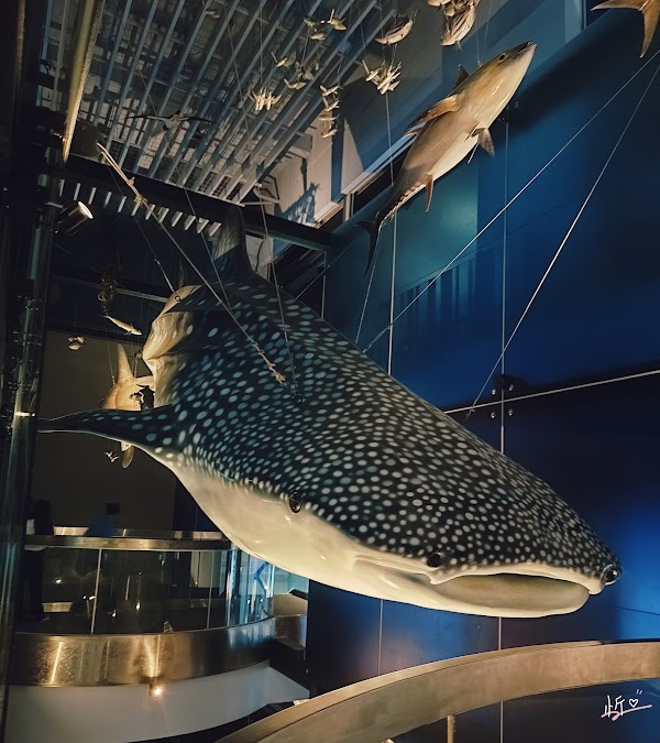 National Museum of Marine Science and Technology 4