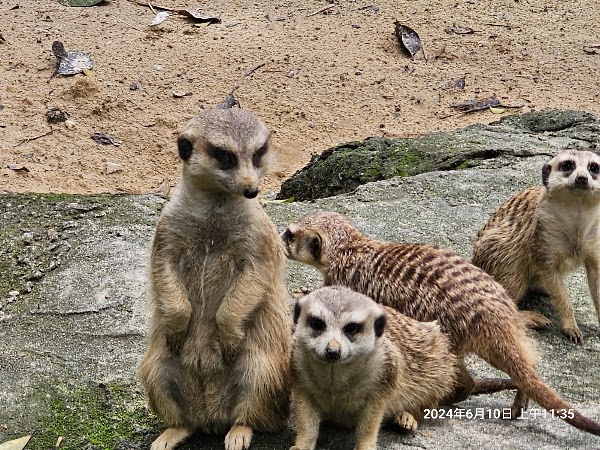 Guangzhou Panyu Chimelong Safari Pk 2