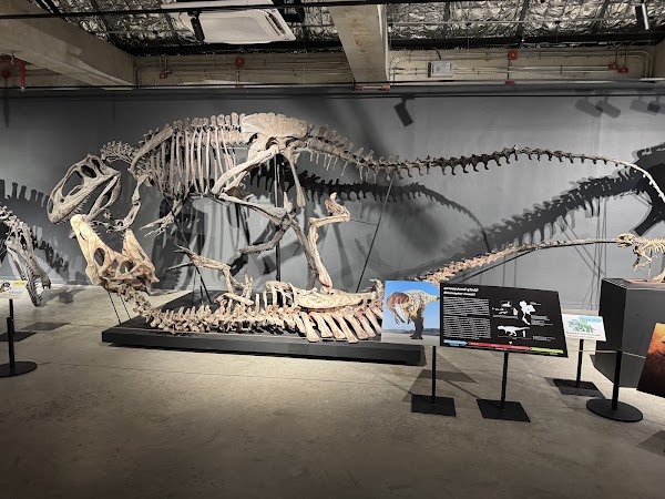Museum Pier 1
