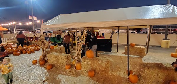 Shawn's Pumpkin Patch