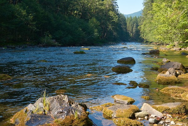 Lower Lewis River Falls 2