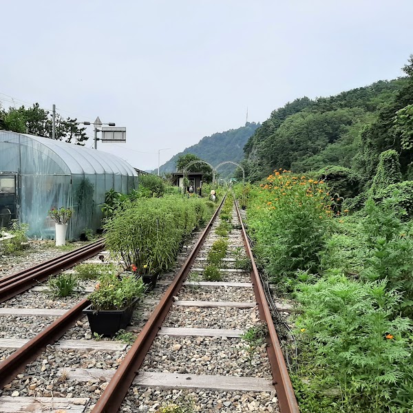 Jinju Rail Bike