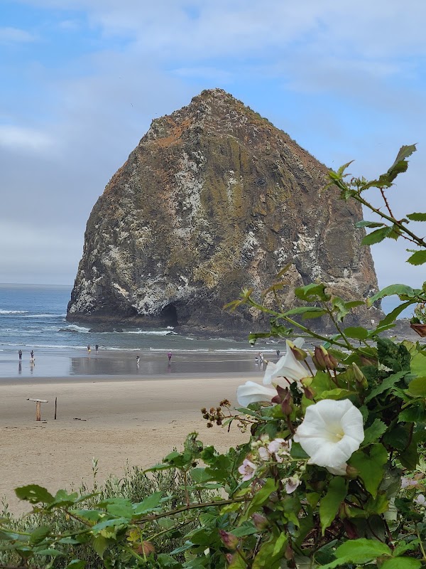 Cannon Beach 5