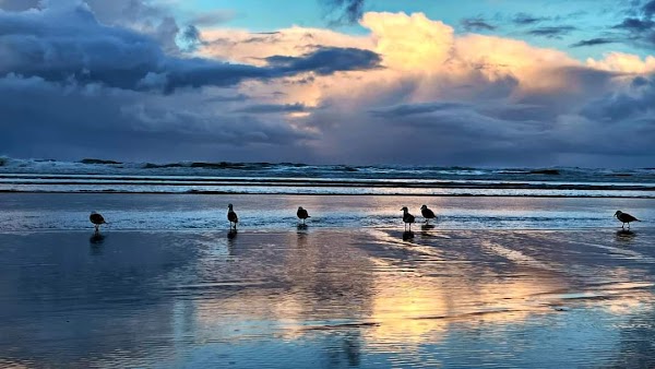 Cannon Beach 4
