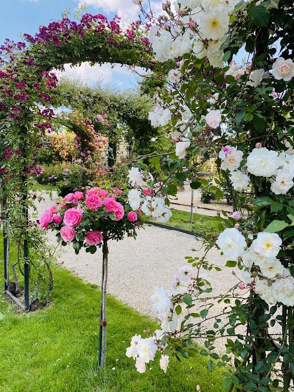 Roseraie de L'Haÿ 3