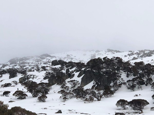 Snowy Mountains 5