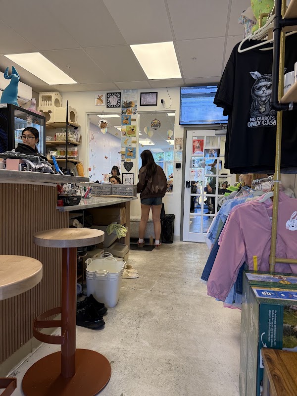 Bunny Cafe San Francisco 2