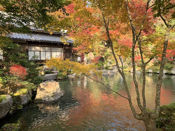 Japan 5