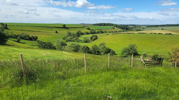 Battle of Towton