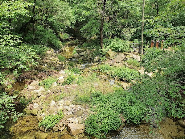 단군산장 2