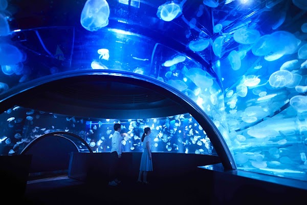 Kyoto Aquarium 1