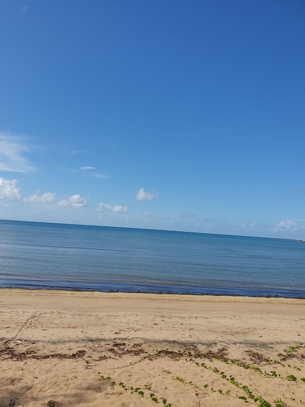 Greys Bay 4