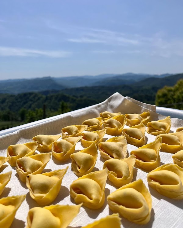 Fattorie di Montechiaro 5