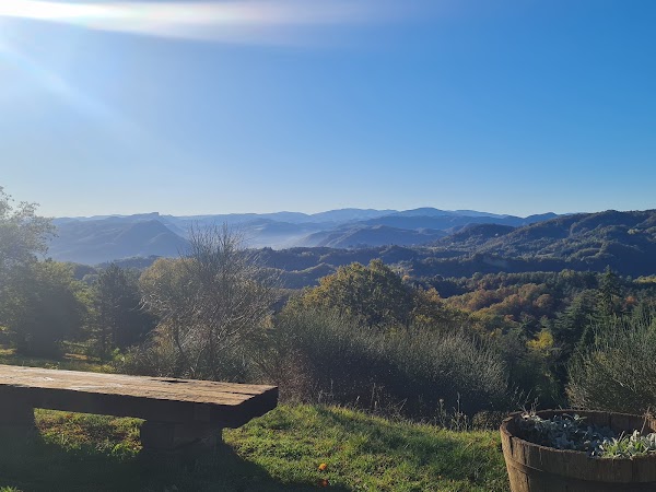 Fattorie di Montechiaro 3