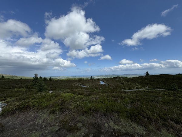 Ballinastoe Woods 2