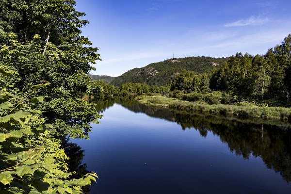 Lyngdal