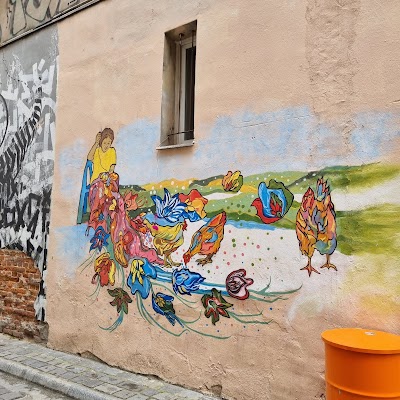 Polen 🇵🇱 11