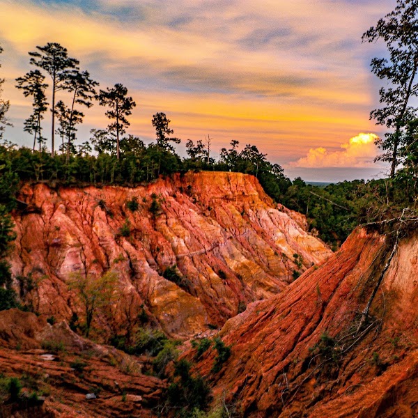 Red Bluff
