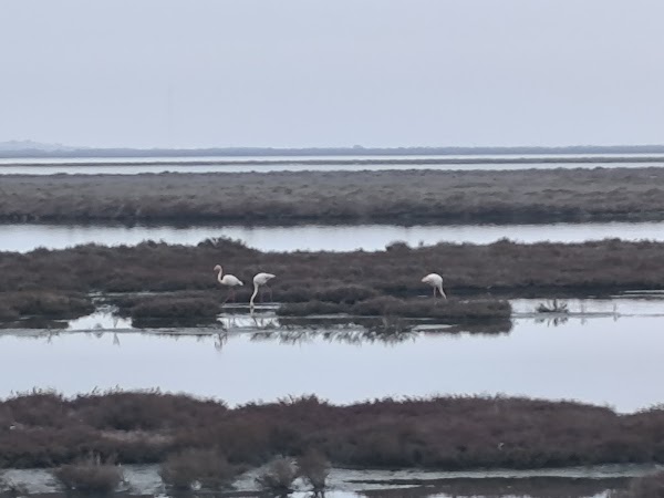 Delta Evros Explorer