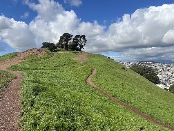 Bernal Heights Park 3